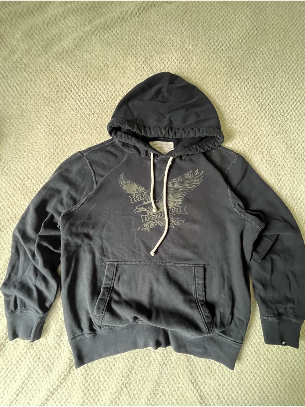American Eagle Outfitters y2k dark Gray Pullover Hoodie with Eagle Graphic